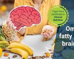 Sharpen Your Focus: 1. Why Omega-3 for Soccer Player Brain Health is Non-Negotiable