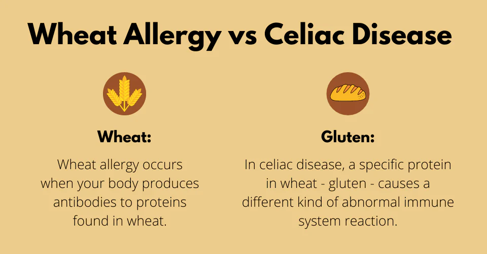5 Key Facts in Our Celiac Disease vs Gluten Sensitivity Difference Guide