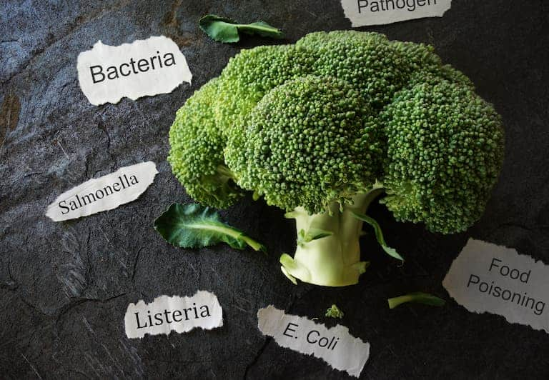 Raw Broccoli and Salmonella: Are You Risking Illness?