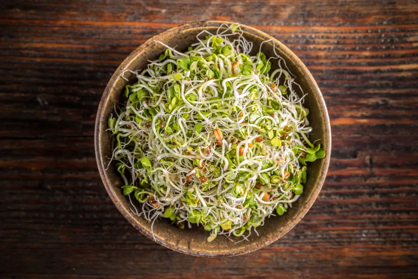 I Ate Broccoli Sprouts Because They’re “Healthy”; Broccoli Sprouts Salmonella Risk